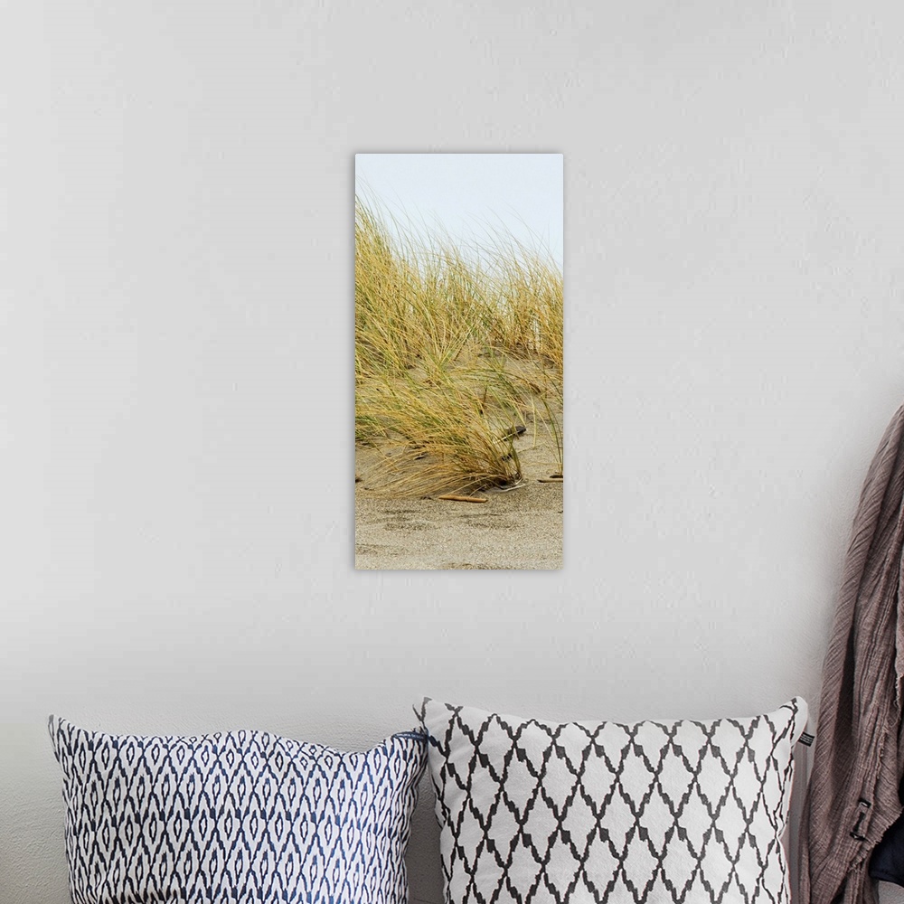 A bohemian room featuring A photograph of a sand dune with tall golden yellow and green beach grass.