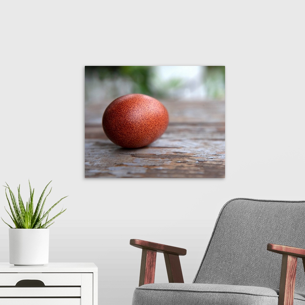 A modern room featuring Egg On Wood