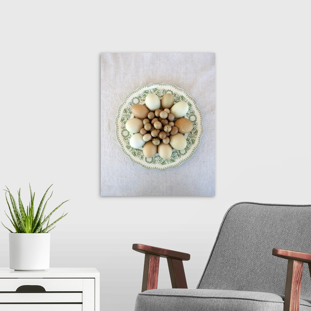 A modern room featuring Eggs On Green Country Plate