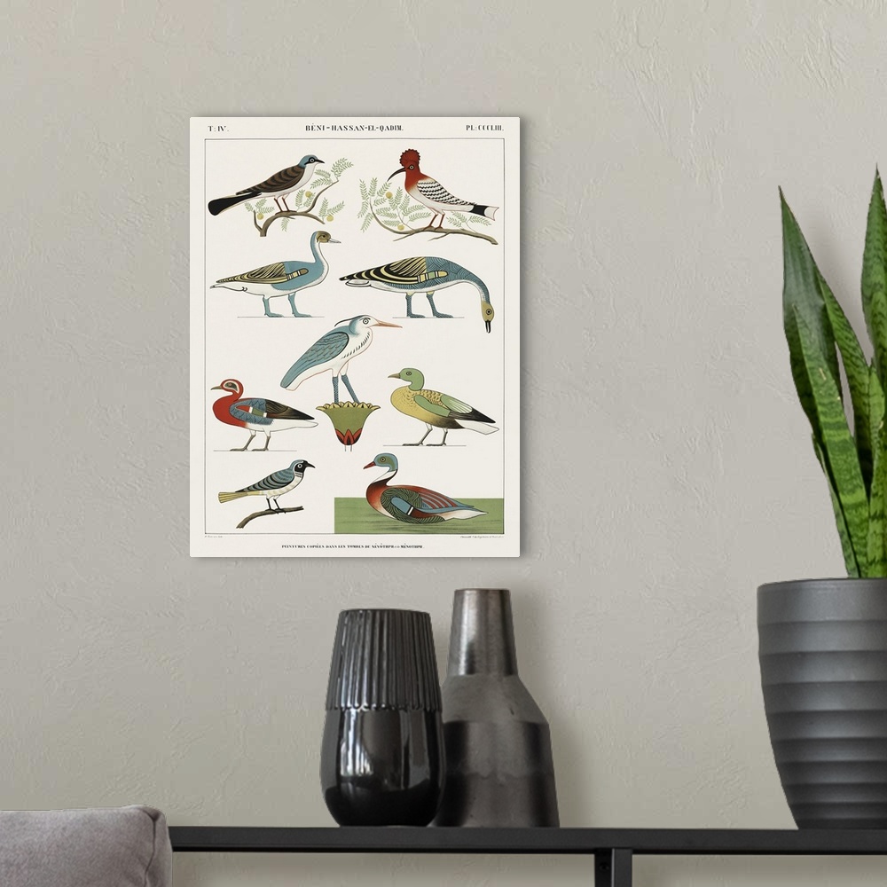 A modern room featuring Egyptian Bird Charts I