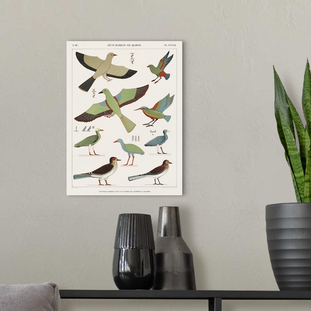 A modern room featuring Egyptian Bird Charts III