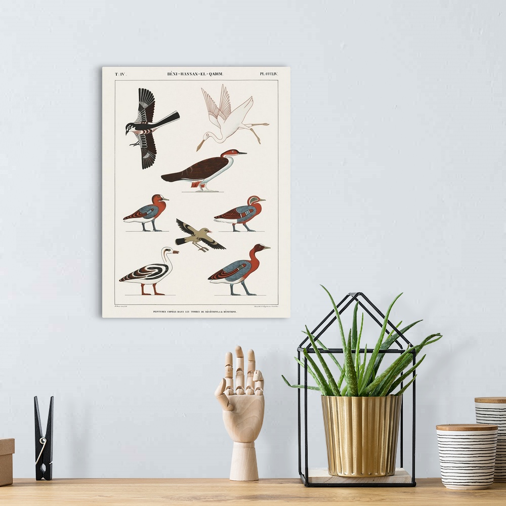 A bohemian room featuring Egyptian Bird Charts IV