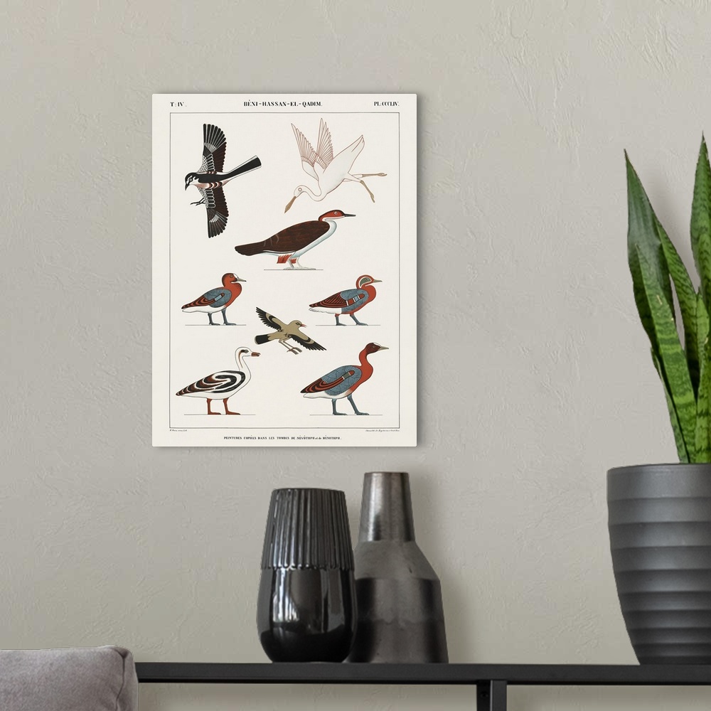 A modern room featuring Egyptian Bird Charts IV