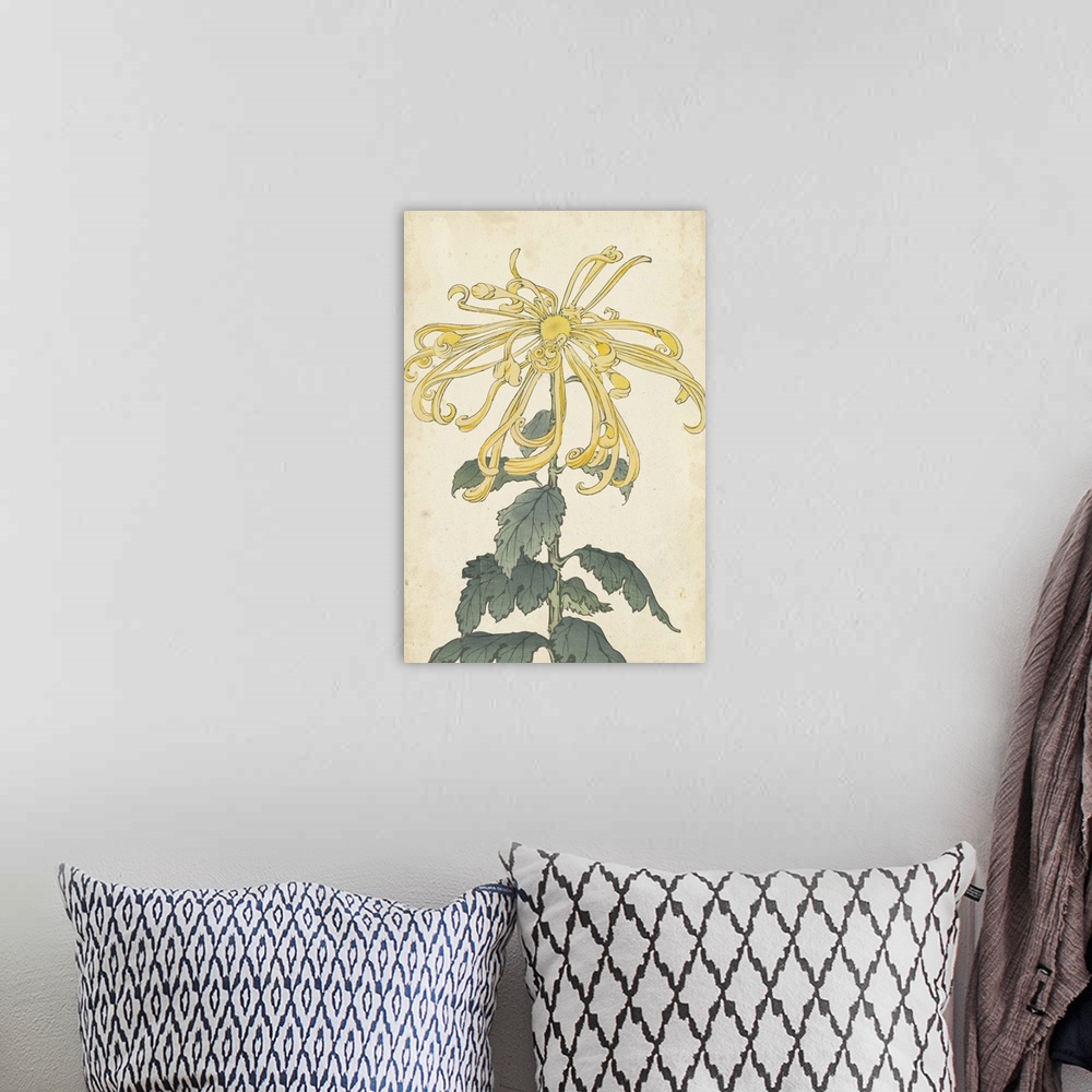 A bohemian room featuring Elegant Chrysanthemums II