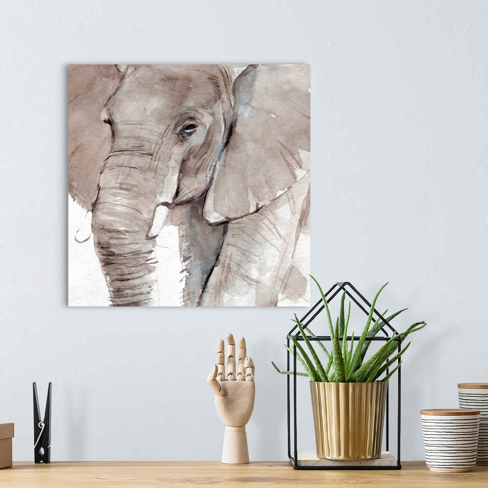 A bohemian room featuring Elephant Grooves I