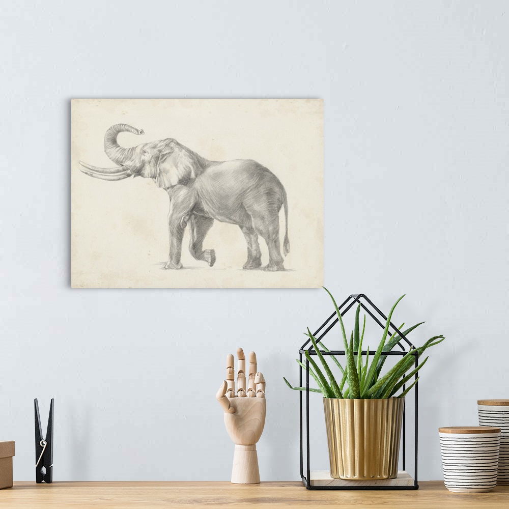 A bohemian room featuring Pencil drawing of an elephant on a parchment background.