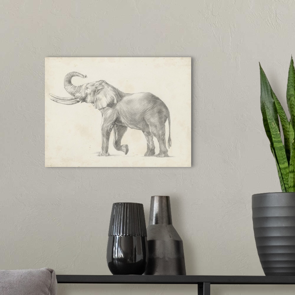 A modern room featuring Pencil drawing of an elephant on a parchment background.