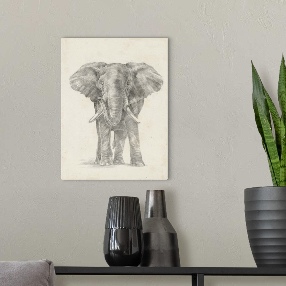 A modern room featuring Pencil drawing of an elephant on a parchment background.