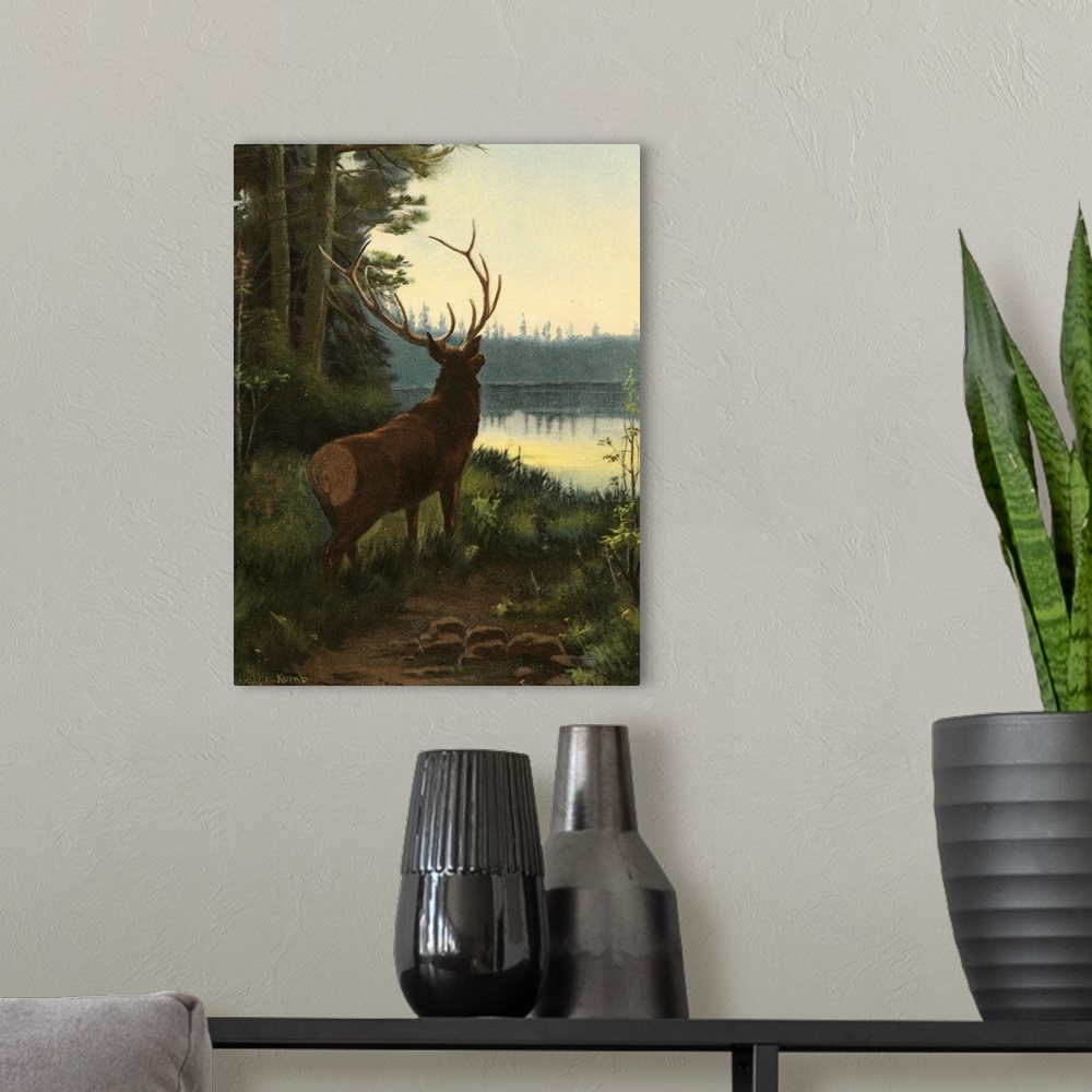 A modern room featuring Elk