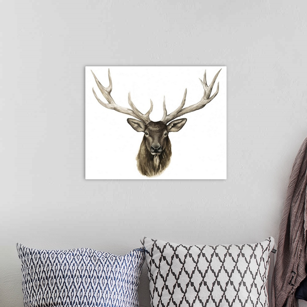 A bohemian room featuring Elk Bust