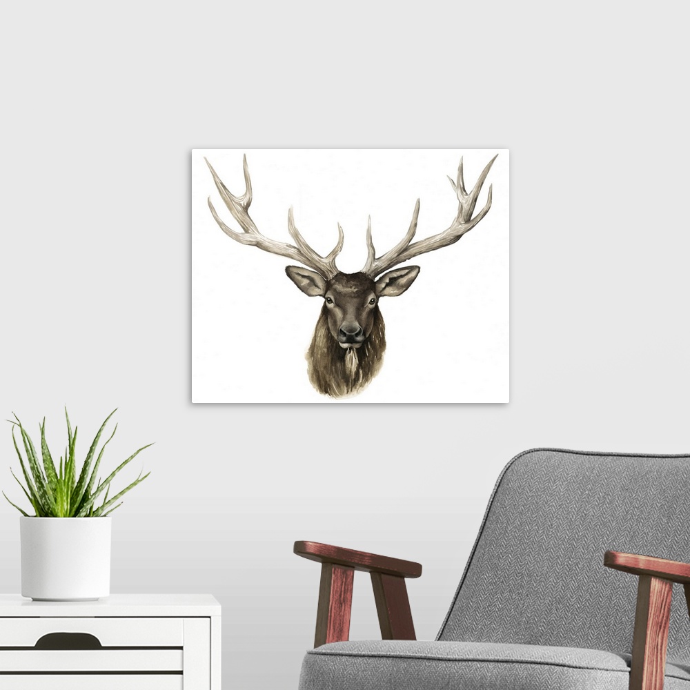 A modern room featuring Elk Bust