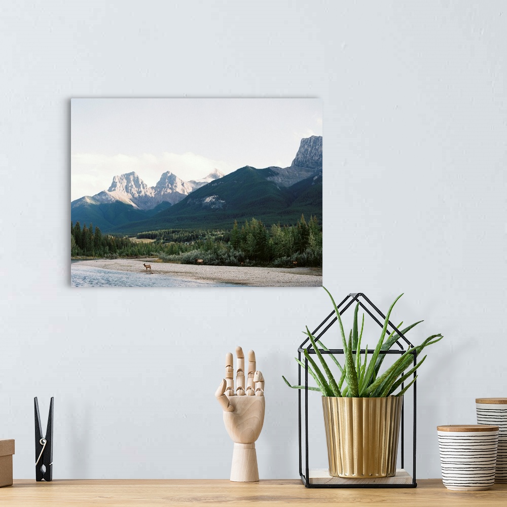 A bohemian room featuring Photograph of several elk approaching the water's edge, Canmore, Canada.