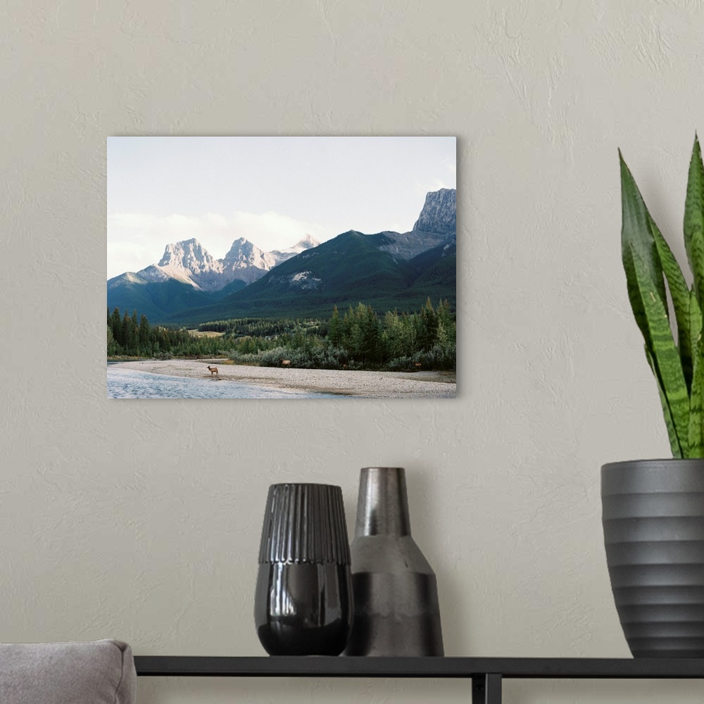 A modern room featuring Photograph of several elk approaching the water's edge, Canmore, Canada.