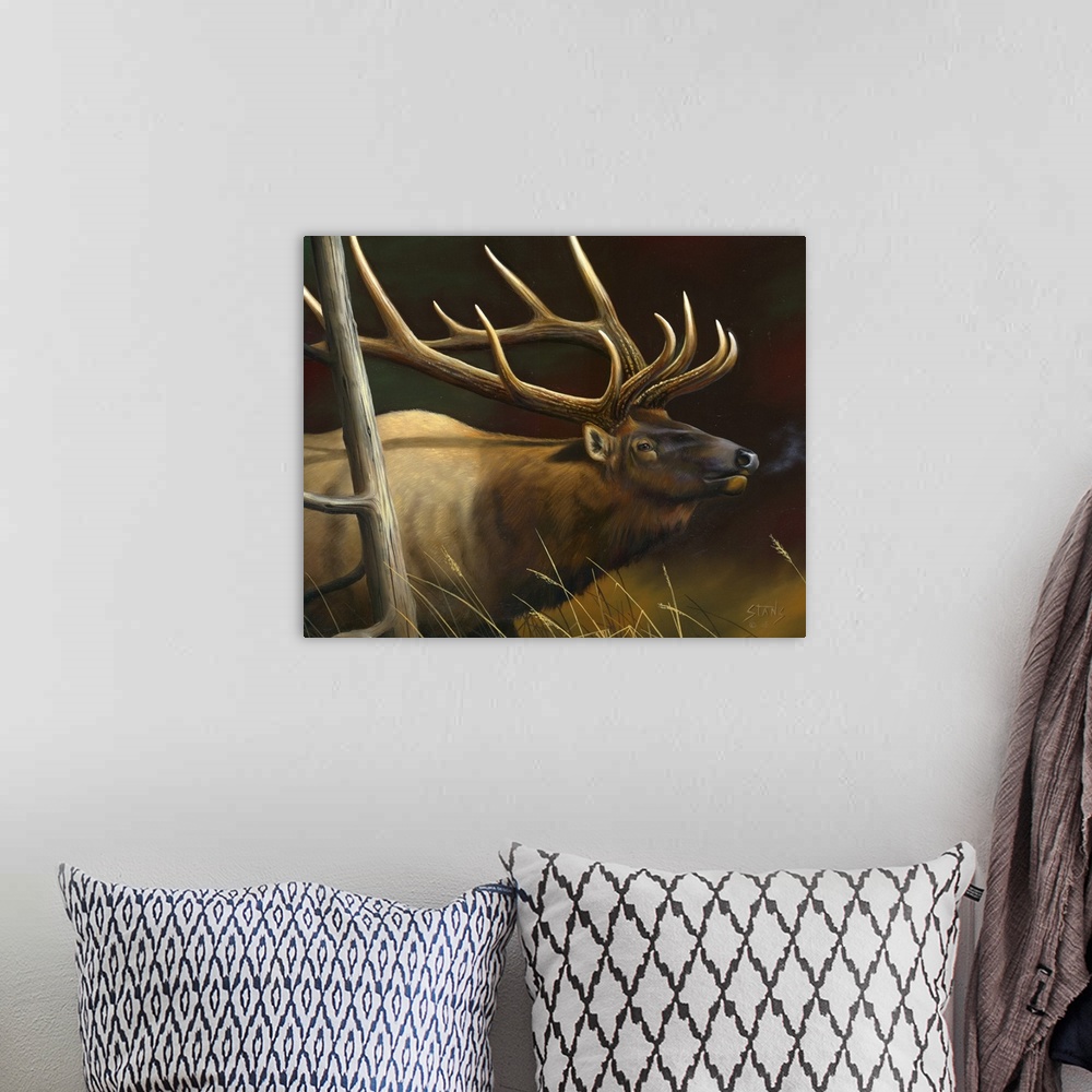 A bohemian room featuring Elk Portrait II