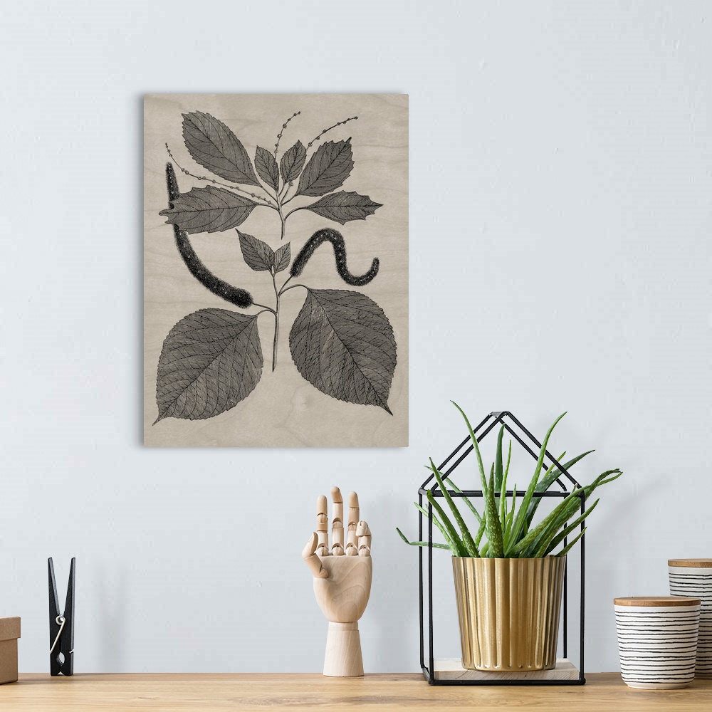 A bohemian room featuring Eloquent Leaves II