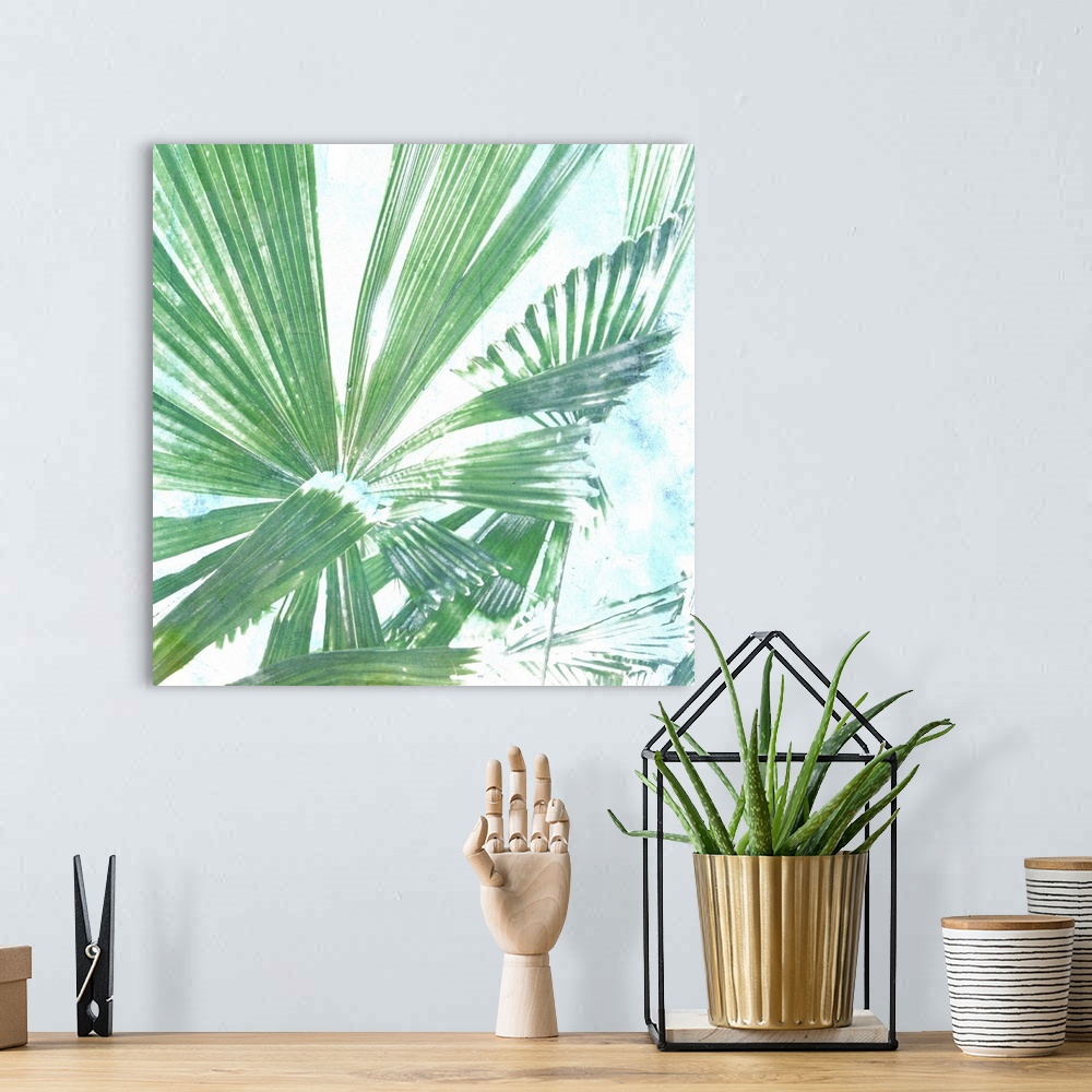 A bohemian room featuring Emerald Palms II