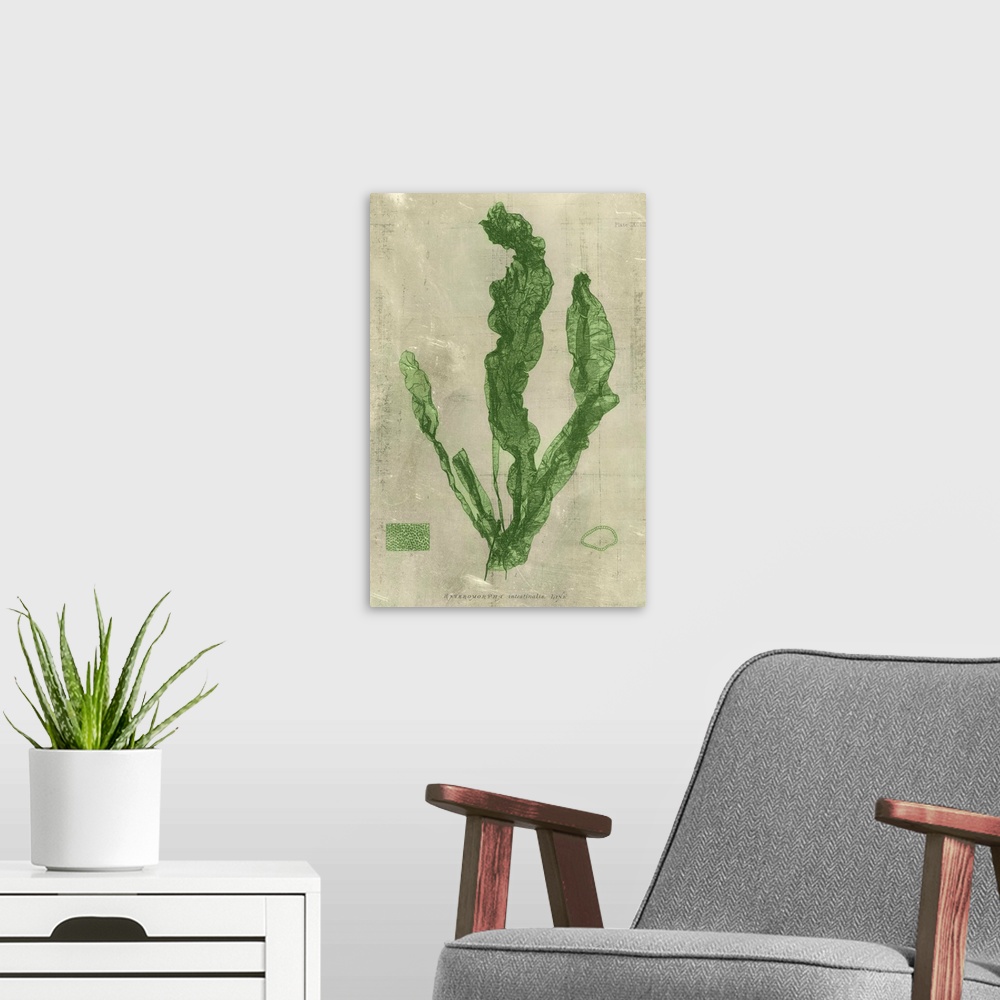 A modern room featuring Emerald Seaweed IV