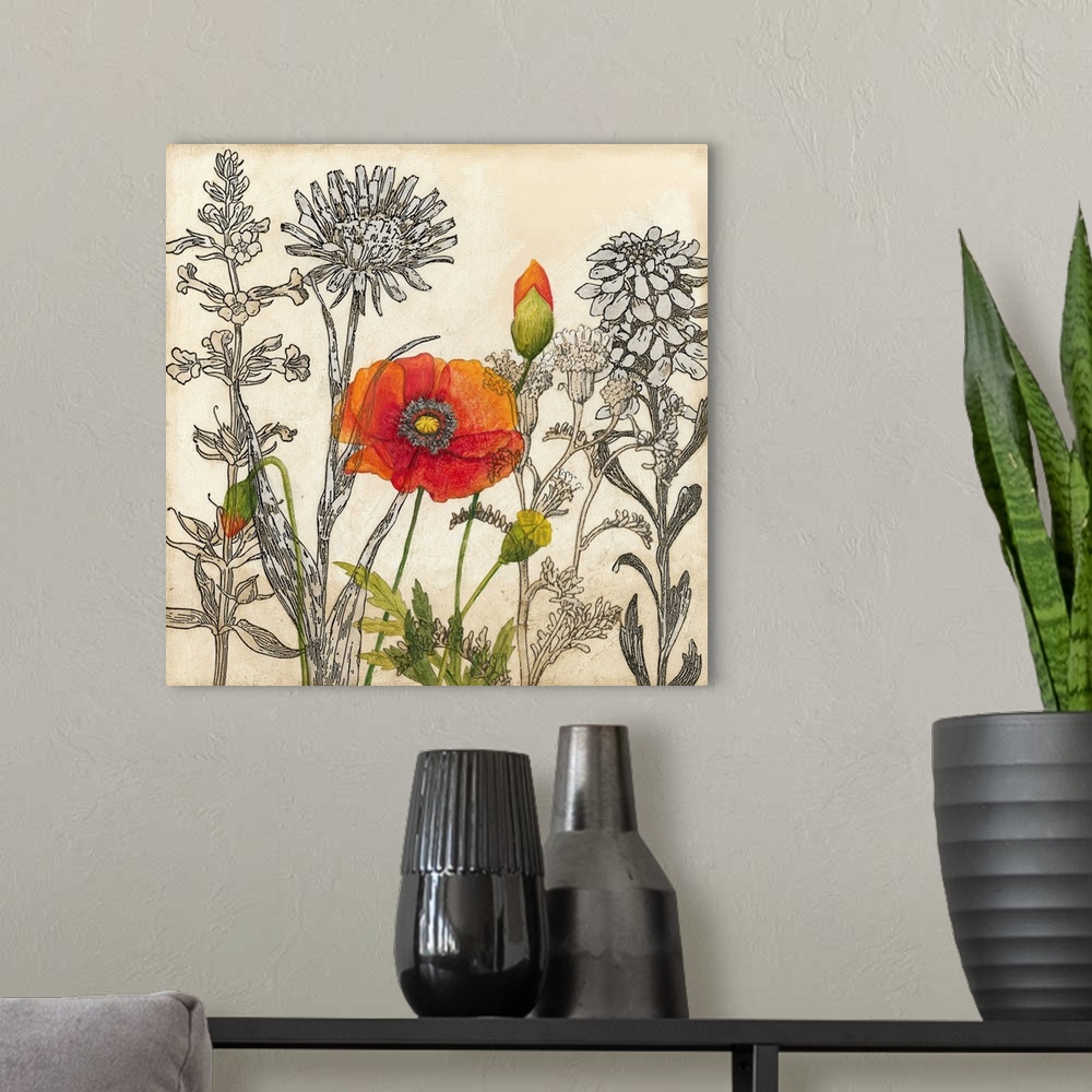 A modern room featuring Emerging Poppy