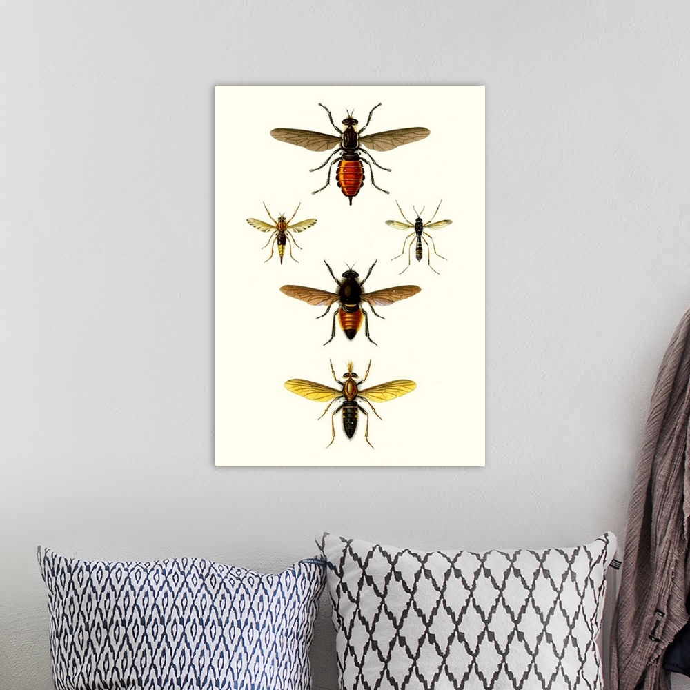A bohemian room featuring Entomology Series IX