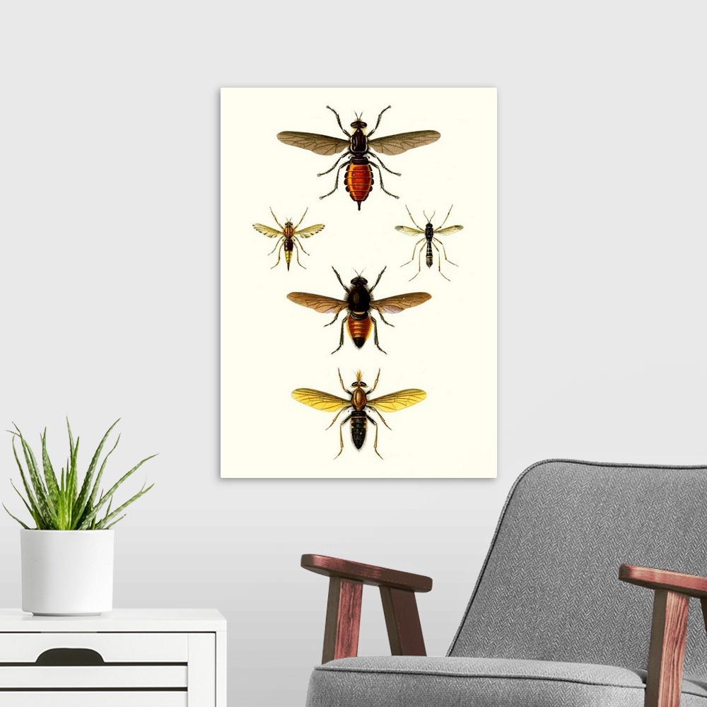 A modern room featuring Entomology Series IX