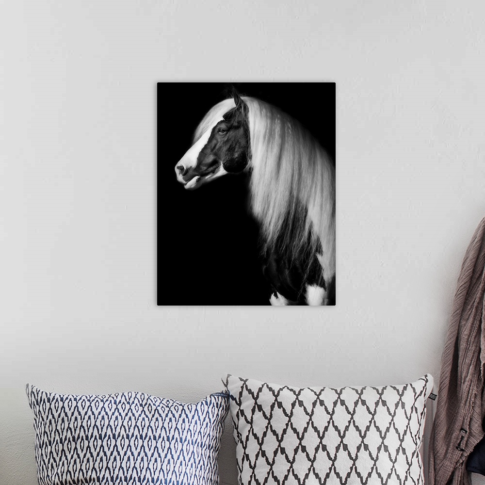 A bohemian room featuring Equine Portrait VII
