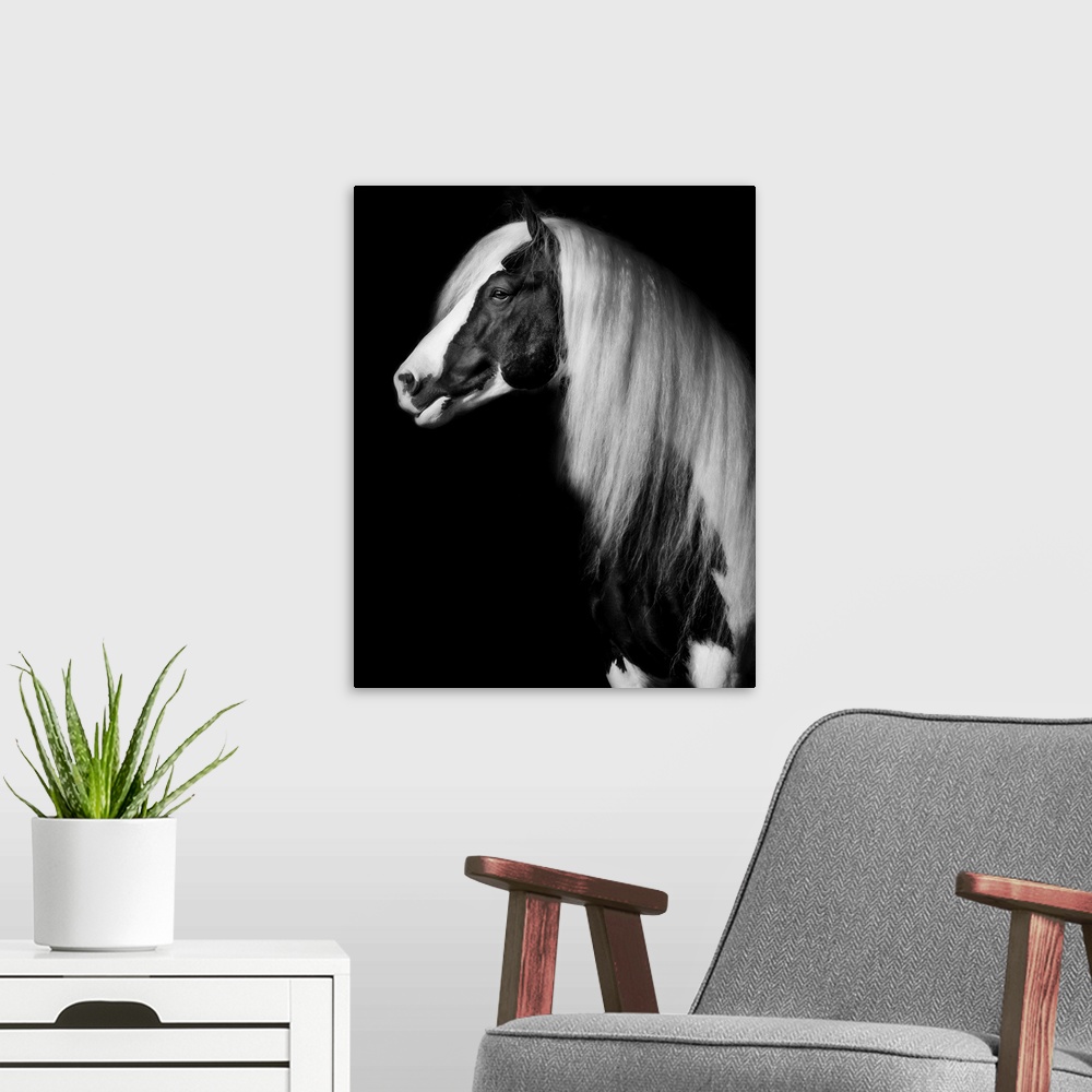 A modern room featuring Equine Portrait VII