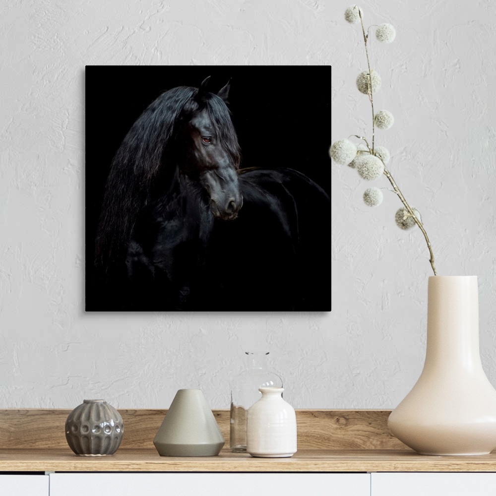 A farmhouse room featuring Equine Portrait XI