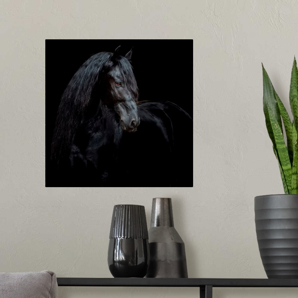 A modern room featuring Equine Portrait XI