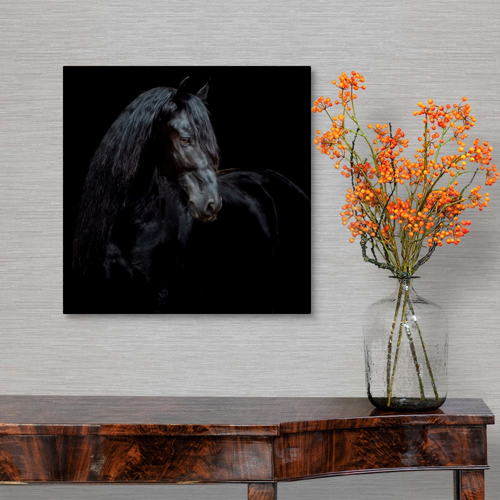 A traditional room featuring Equine Portrait XI
