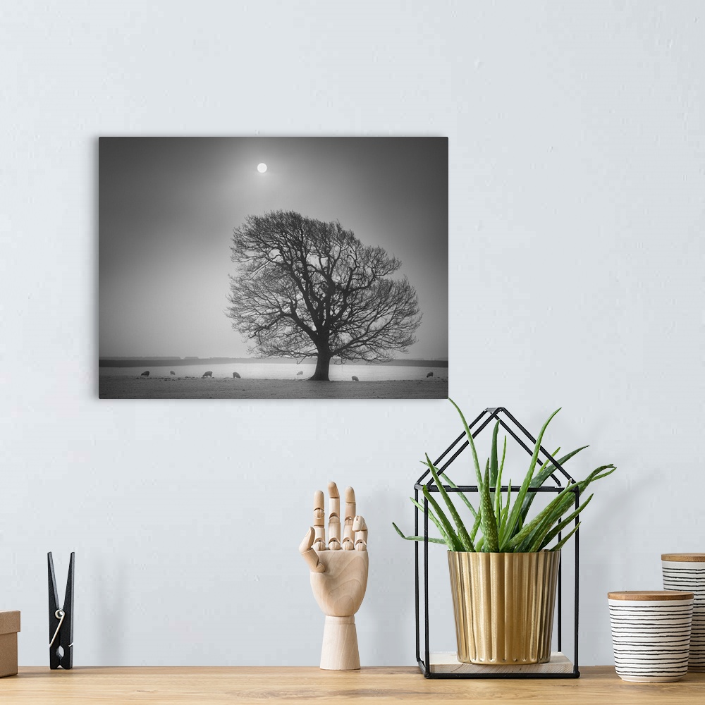 A bohemian room featuring A black and white photograph of a lone tree standing in a field with the moon hanging in a foggy ...