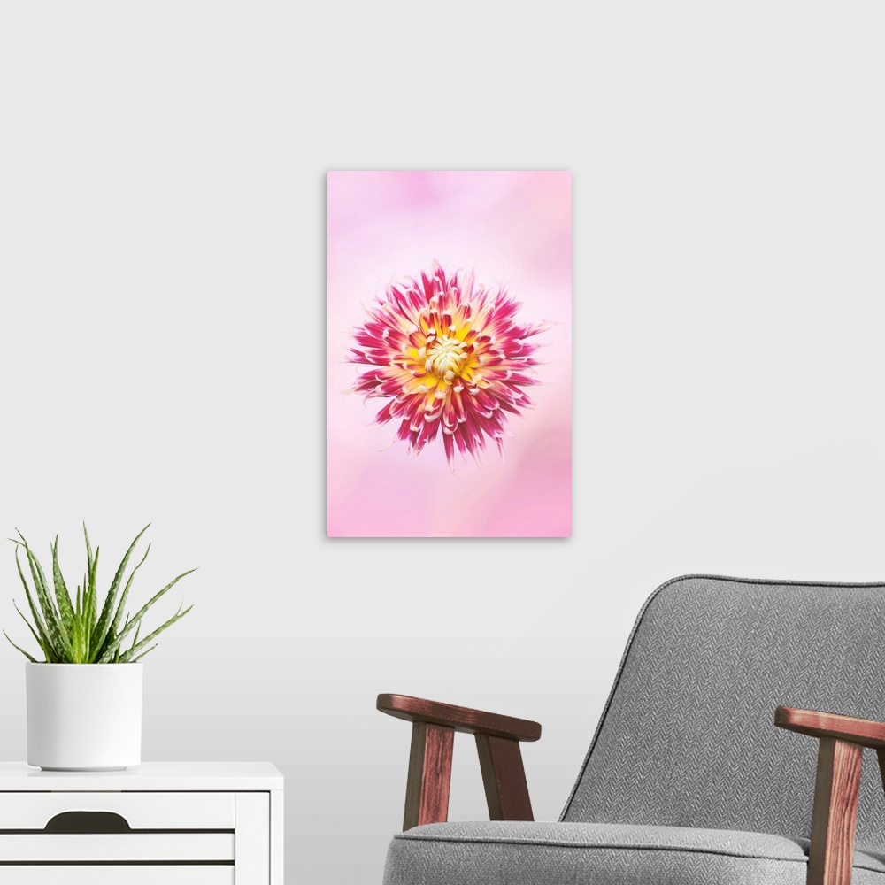 A modern room featuring Exotic Flower Burst I