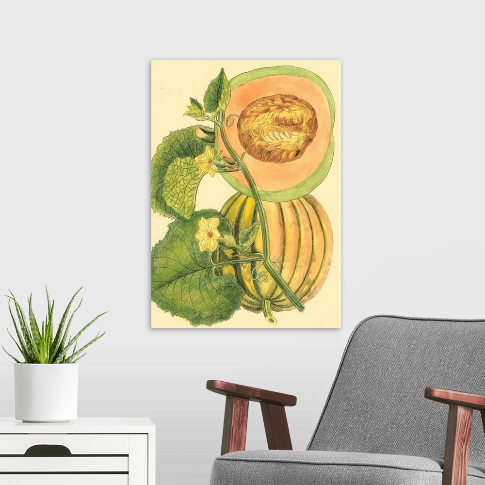 A modern room featuring Exotic Melons IV