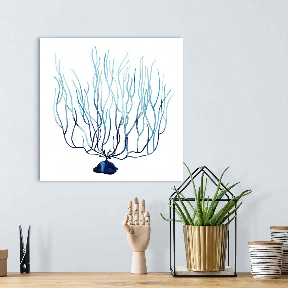 A bohemian room featuring Simple watercolor illustration of coral in shades of blue.