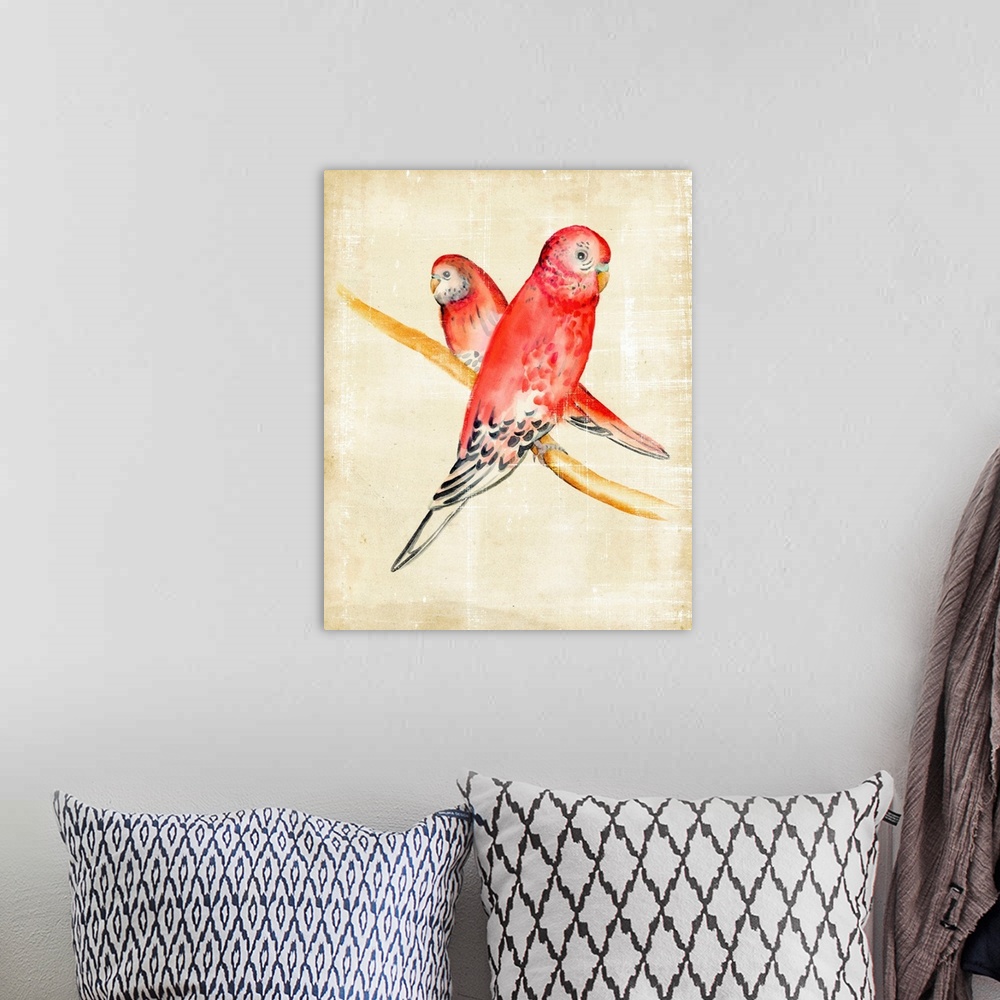 A bohemian room featuring A pair of Rosey Bourke's Parakeets perched on a twig.