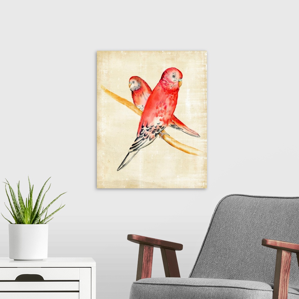A modern room featuring A pair of Rosey Bourke's Parakeets perched on a twig.