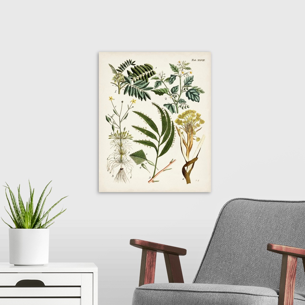 A modern room featuring Fanciful Ferns I