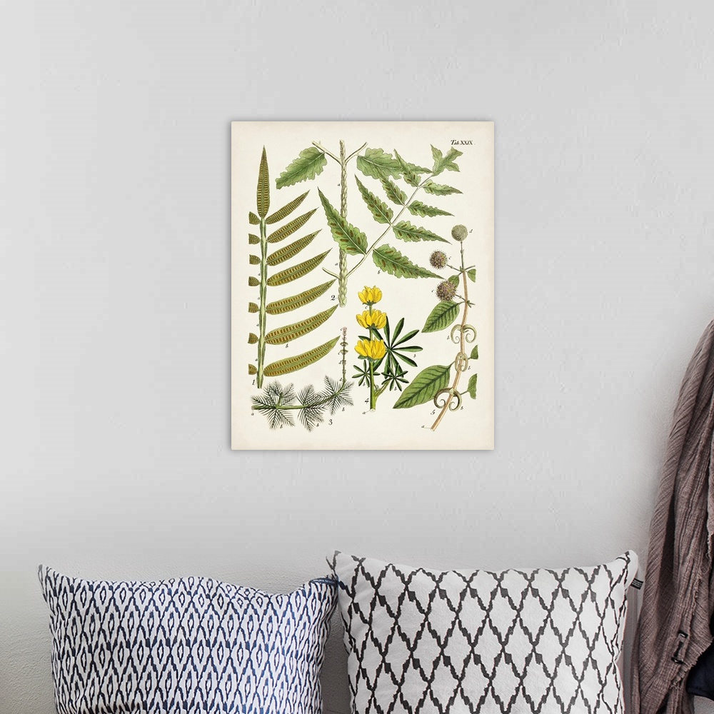 A bohemian room featuring Fanciful Ferns II
