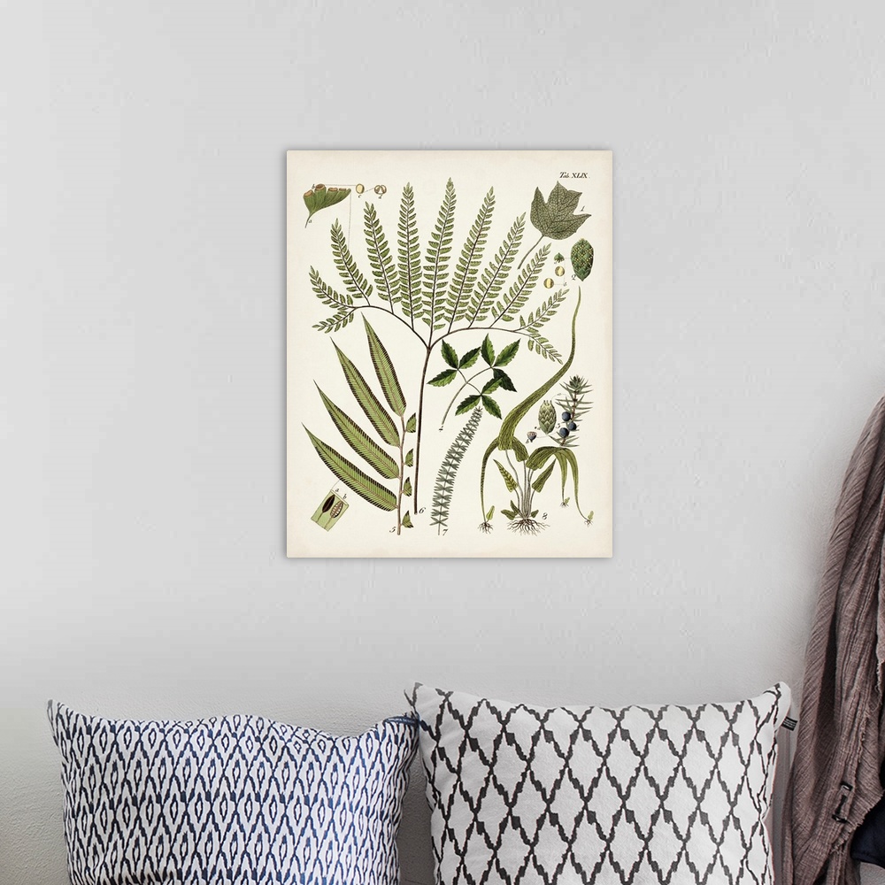 A bohemian room featuring Fanciful Ferns III