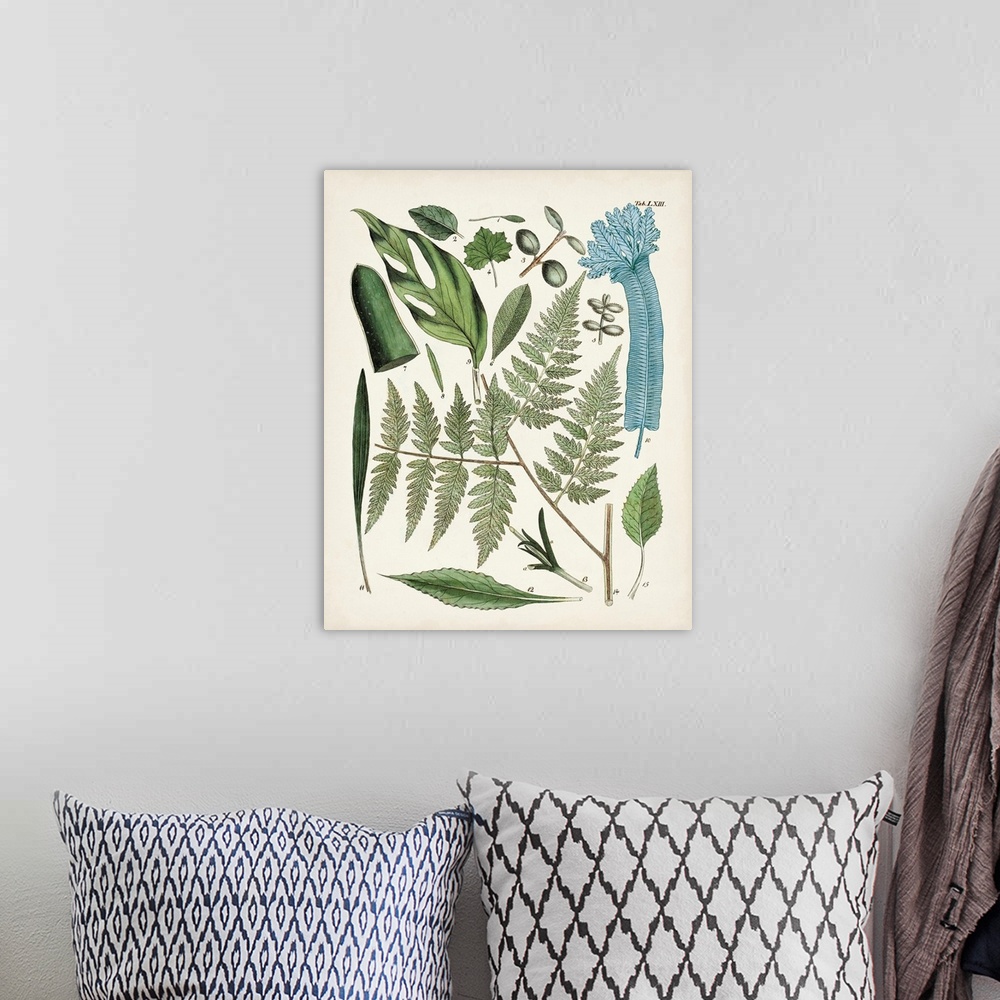 A bohemian room featuring Fanciful Ferns IV