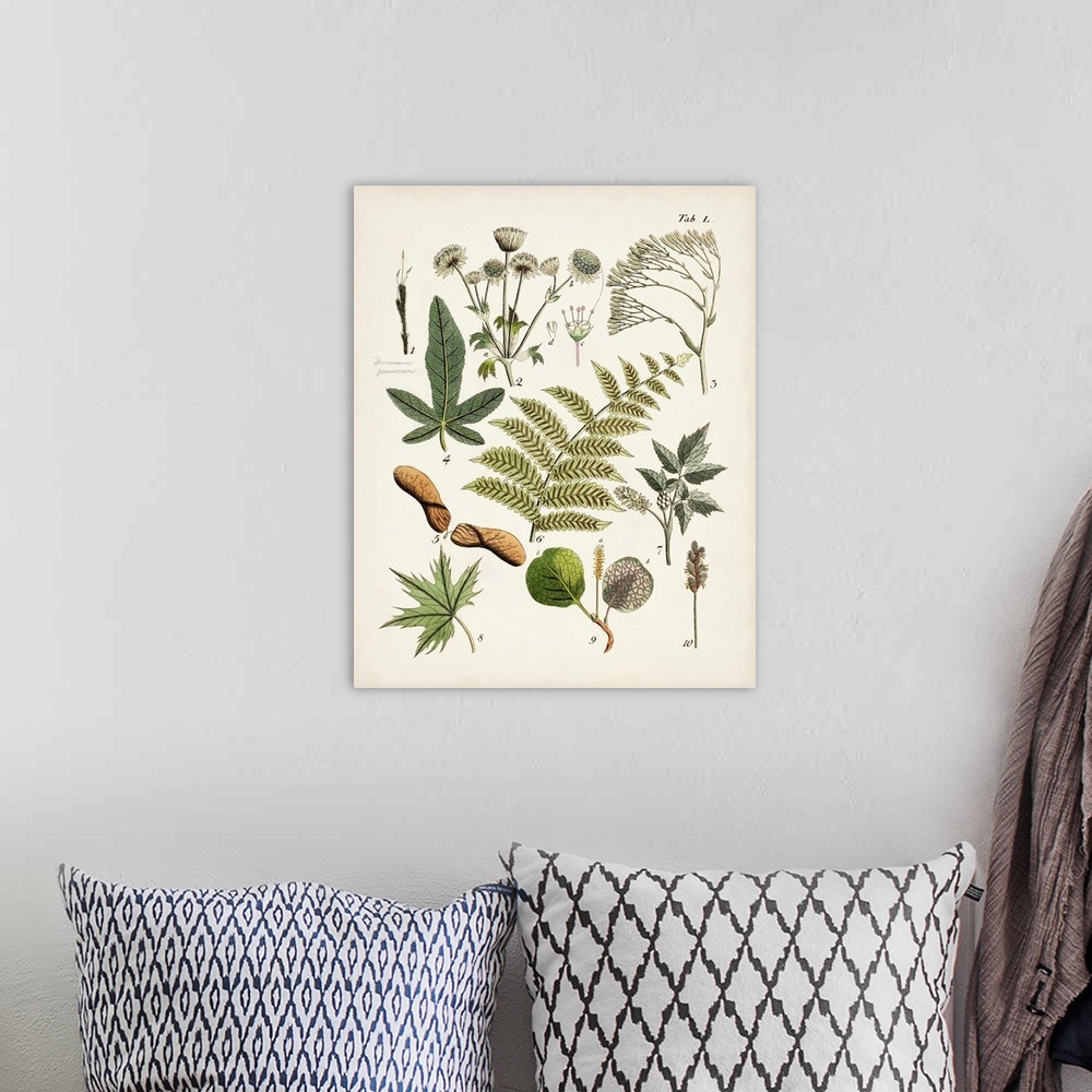 A bohemian room featuring Fanciful Ferns VI