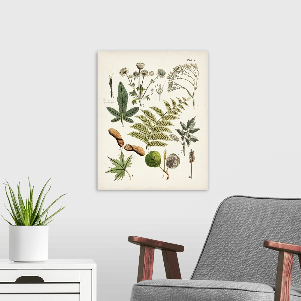 A modern room featuring Fanciful Ferns VI