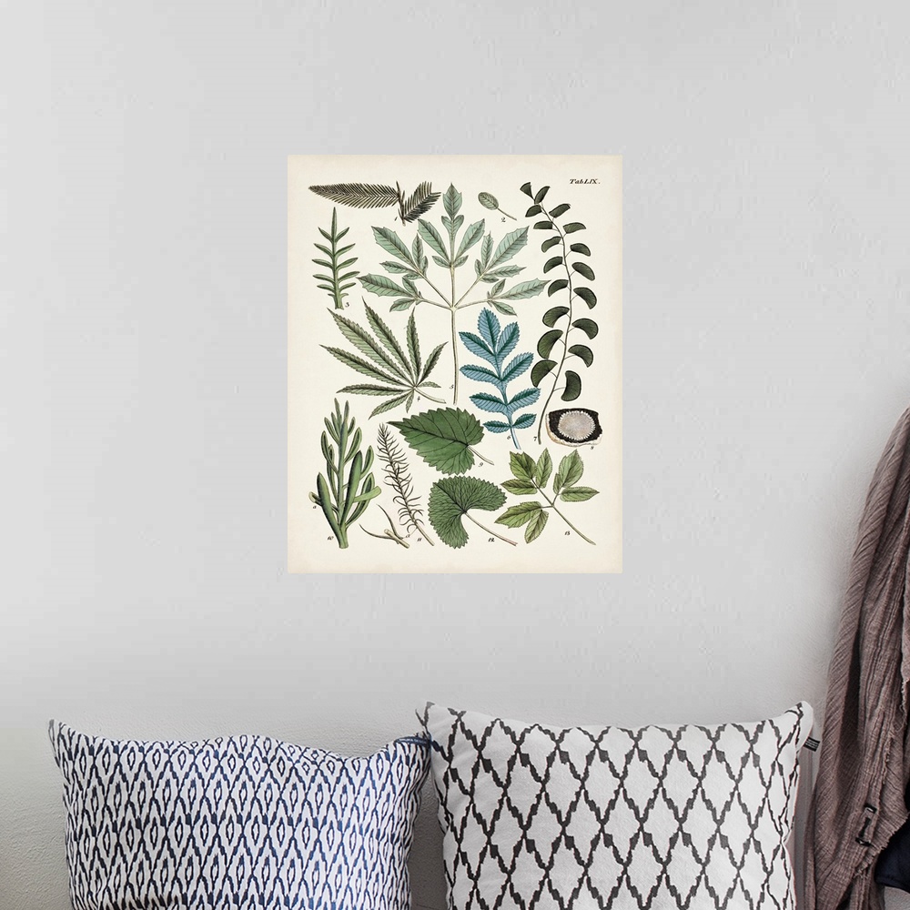 A bohemian room featuring Fanciful Ferns VII