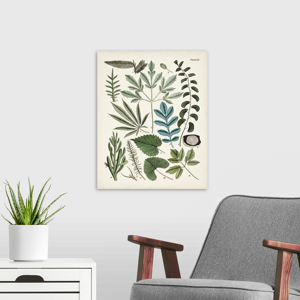 A modern room featuring Fanciful Ferns VII
