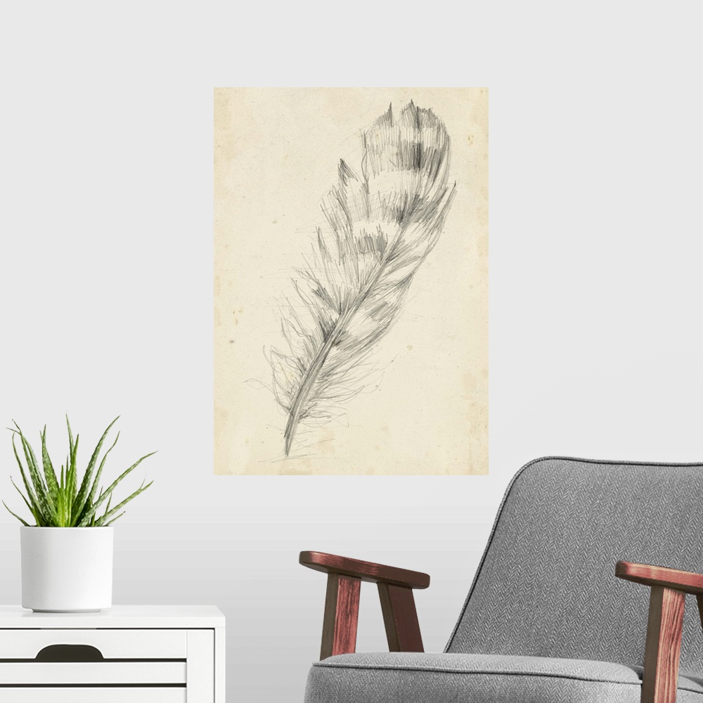 A modern room featuring Contemporary artwork of a pencil sketch of a bird feather against a beige background.