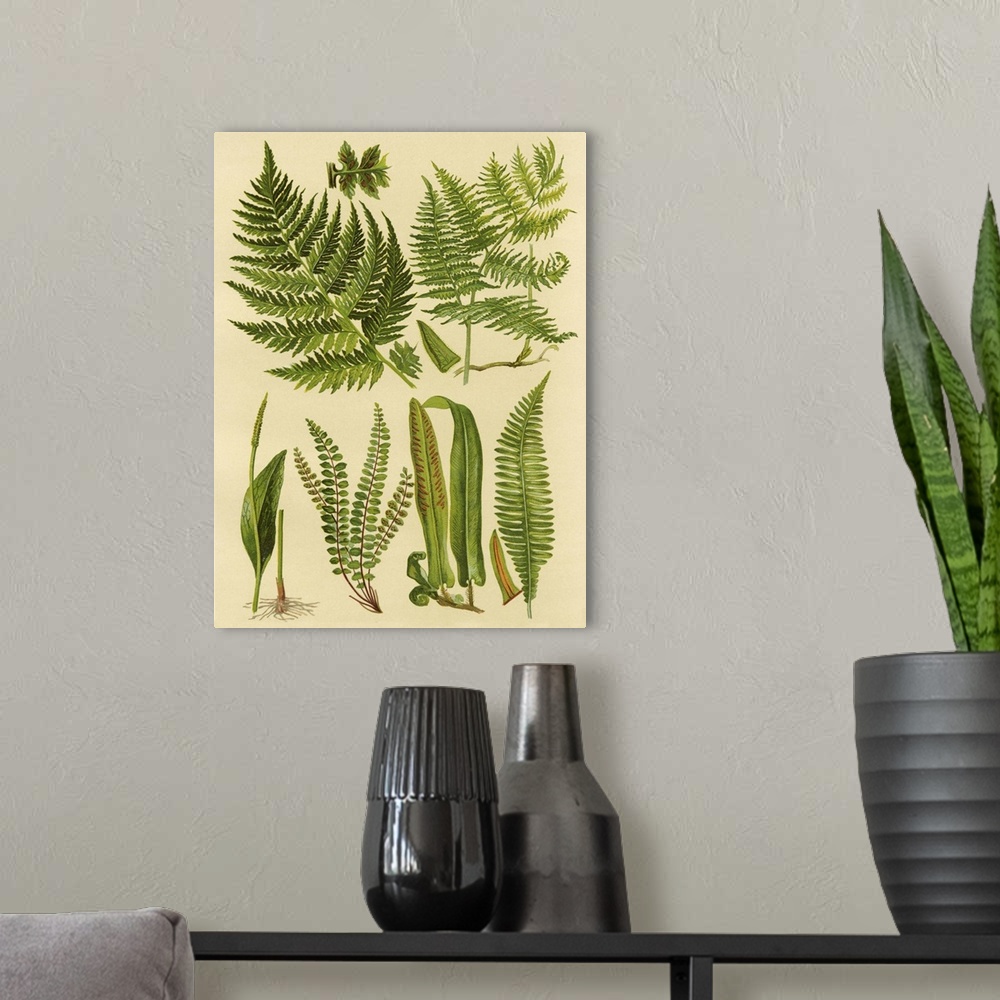 A modern room featuring Fern Collection I