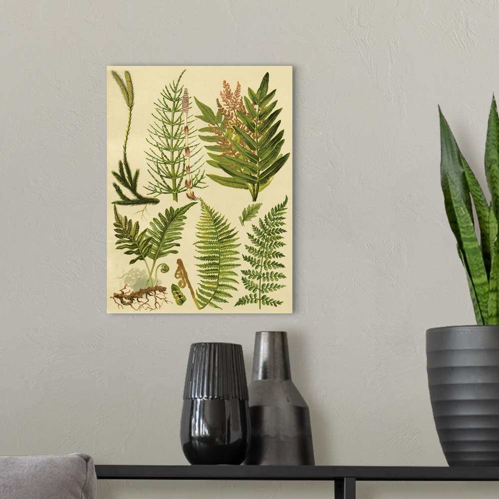 A modern room featuring Fern Collection II
