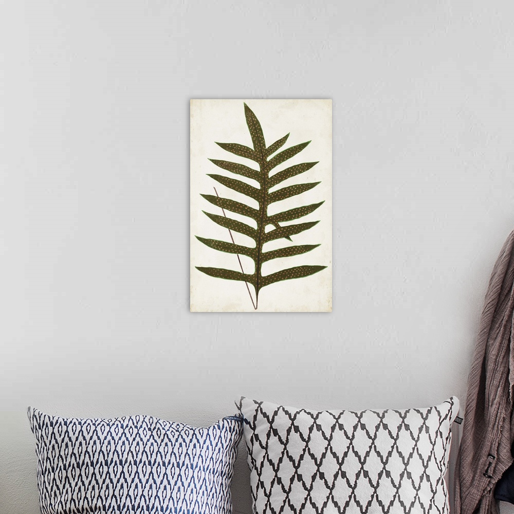 A bohemian room featuring Simple drawing of the leaves of a fern.