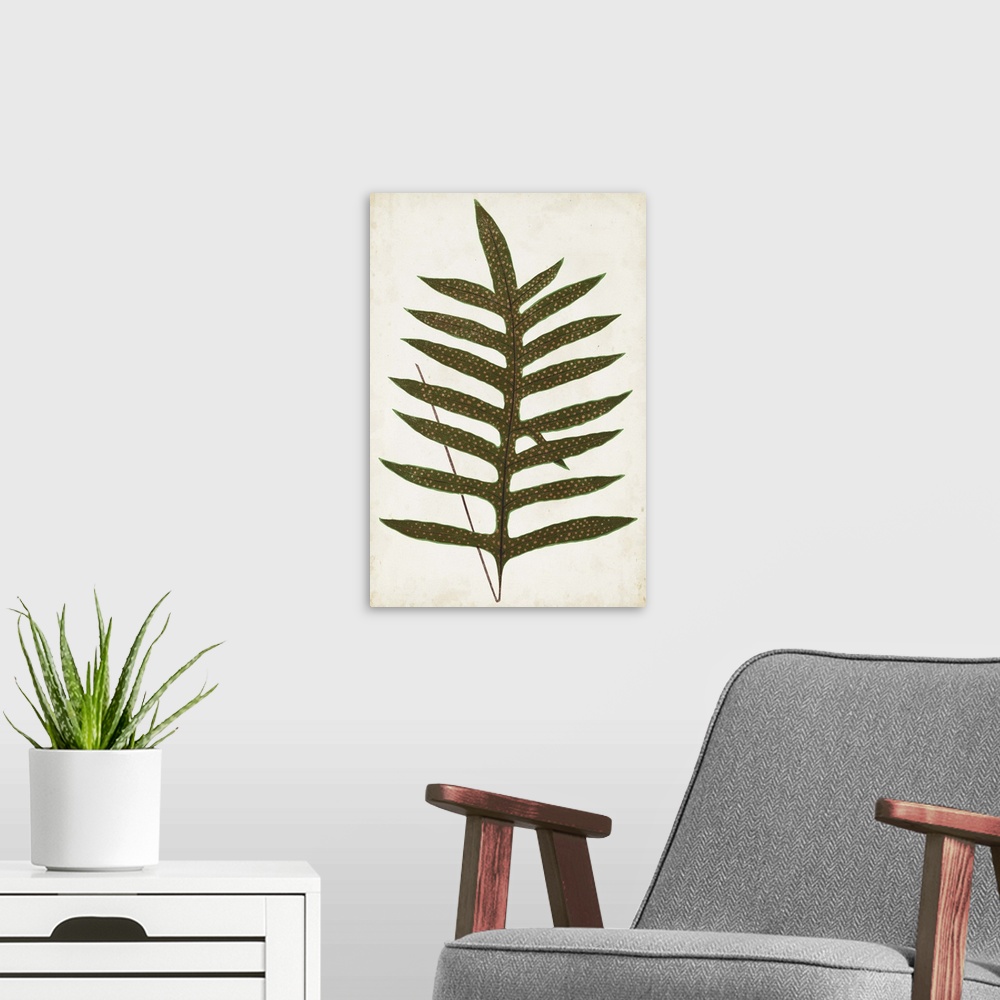 A modern room featuring Simple drawing of the leaves of a fern.