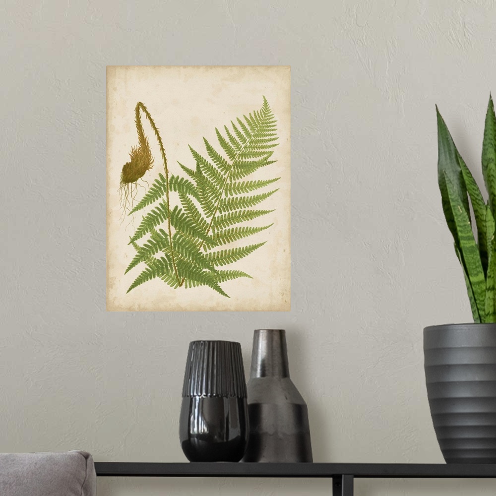 A modern room featuring Illustration of a fern on a neutral background.