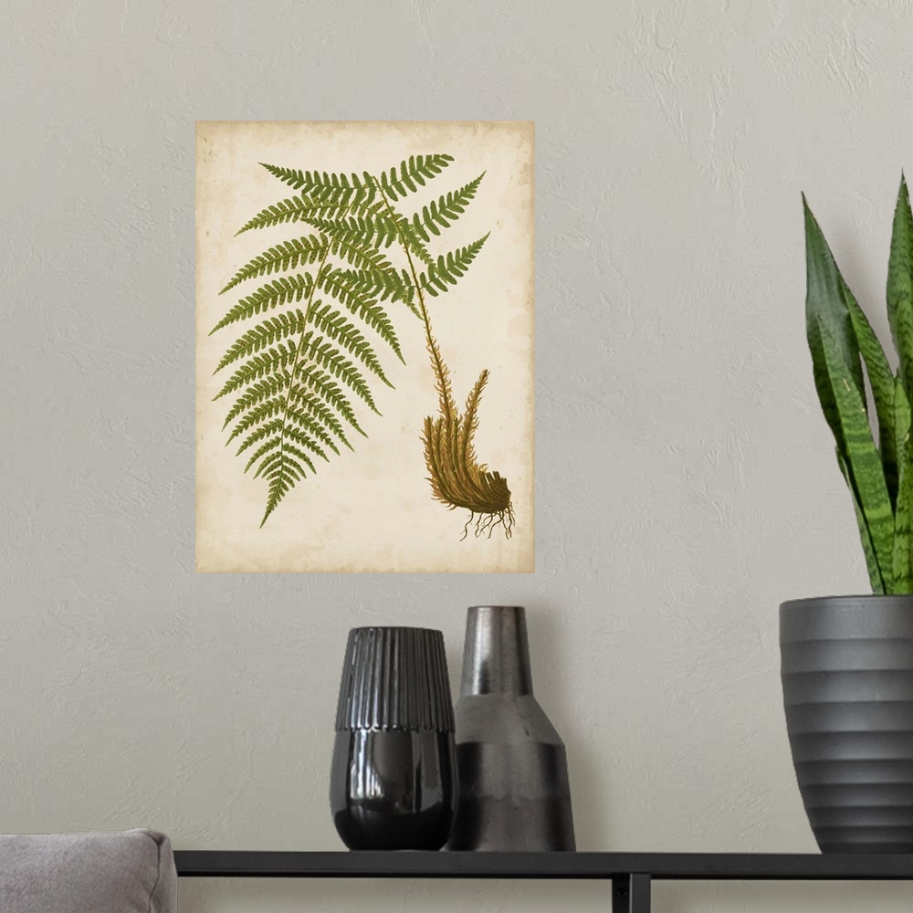 A modern room featuring Illustration of a fern on a neutral background.